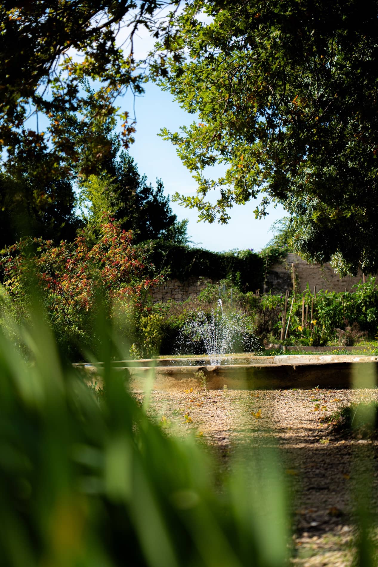 Bassin avec fontaine dans les jardins du Château de Massillan